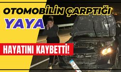 Otomobilin çarptığı yaya hayatını kaybetti!