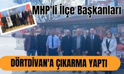 MHP'li İlçe Başkanları Dörtdivan'a çıkarma yaptı