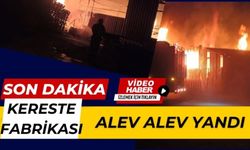 Kereste fabrikası alev alev yandı