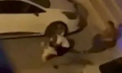 Adana’da evden kaçan pitbull dehşeti kamerada: Sahibini ve 2 kişiyi yaraladı
