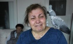 Amasya'da papağanları kaybolan çiftin gözyaşı durmuyor