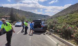 Milas’ta otomobilin çarptığı köpek telef oldu, 2 kişi yaralandı