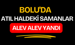 Bolu'da atıl haldeki samanlar alev alev yandı