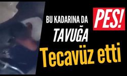 Bu kadarına da pes: Tavuğa tecavüz etti…