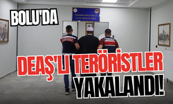 Bolu'da DEAŞ'lı teröristler yakalandı!
