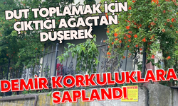 Dut toplamak için çıktığı ağaçtan düşerek demir korkuluklara saplandı