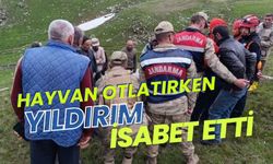 Hayvan otlatırken yıldırım isabet etti