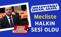 Milletvekili Akgül, mecliste vatandaşların sesi oldu