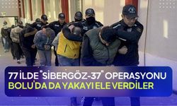 77 ilde "SİBERGÖZ-37" operasyonu, Bolu’da da yakayı ele verdiler