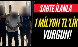 Sahte ilanla 1 milyon TL'lik vurgun!