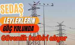 SEDAŞ leyleklerin göç yollarında güvenlik tedbiri alıyor