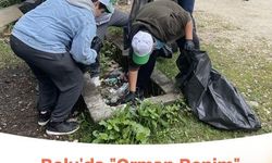Bolu'da "Orman Benim" kampanyası düzenlendi