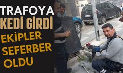 Trafoya kedi girdi, ekipler seferber oldu