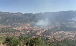 Terör örgütü PKK ormanları yakarak gizlenmeye çalışıyor