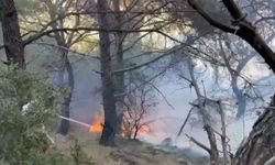 İzmir ve Manisa için yangın raporu: Yılın ilk altı ayında 45 yangın çıktı