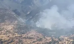 MSB duyurdu: PKK'lı teröristler gizlenmek için ormanları yakıyor