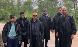 Edirne’de 16 kaçak göçmen yakalandı