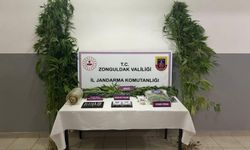 Zonguldak'ta uyuşturucu operasyonunda 1 tutuklama