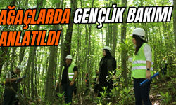 Ağaçlarda gençlik bakımı anlatıldı