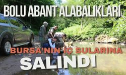 Bolu Abant Alabalıkları Bursa’nın iç sularına salındı