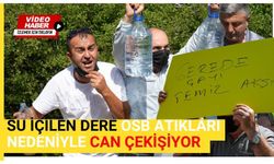 Su içilen dere OSB atıkları nedeniyle can çekişiyor