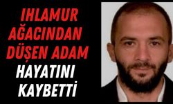 Ihlamur ağacından düşen adam hayatını kaybetti