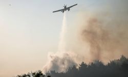 Çanakkale'deki orman yangını kontrol altına alındı