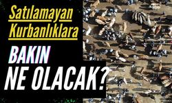 Satılamayan Kurbanlıklara Bakın Ne Olacak?