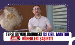 Tepsi büyüklüğündeki içi kızıl mantar görenleri şaşırttı