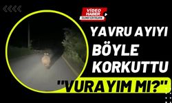 Yavru ayıyı böyle korkuttu: "Vurayım mı?"