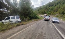 Sinop'ta iki araç kafa kafaya çarpıştı: 2 yaralı
