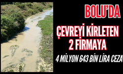 Bolu'da çevreyi kirleten 2 firmaya 4 milyon 643 bin lira ceza