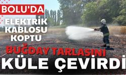 Bolu'da elektrik kablosu koptu, Buğday tarlasını küle çevirdi