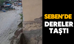 Seben’de dereler taştı