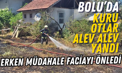 Bolu'da kuru otlar alev alev yandı, erken müdahale faciayı önledi