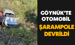 Göynük'te otomobil şarampole devrildi