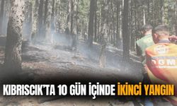 Kıbrıscık’ta 10 gün içinde ikinci yangın