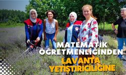 MATEMATİK ÖĞRETMENLİĞİNDEN LAVANTA YETİŞTİRİCİLİĞİNE