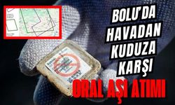 BOLU’DA HAVADAN KUDUZA KARŞI ORAL AŞI ATIMI