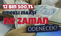 En düşük emekli maaşını 12 bin 500 liraya çıkaran teklif Meclis'ten geçti