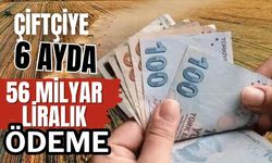 Çiftçiye 6 ayda 56 milyar liralık ödeme