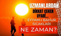 Uzmanlardan dikkat çeken uyarı... Eyyam-ı bahur sıcakları ne zaman?