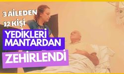 3 aileden 12 kişi yedikleri mantardan zehirlendi