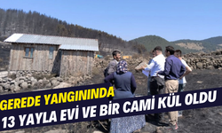 Gerede yangınında 13 yayla evi ve bir cami kül oldu