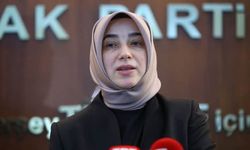 AKP’li Zengin: Dilruba tutuksuz yargılansın