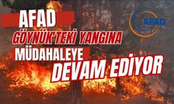 AFAD, GÖYNÜK'TEKİ YANGINA MÜDAHALEYE DEVAM EDİYOR