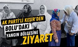 AK Parti'li Keşir'den, Bolu'daki yangın bölgesine ziyaret