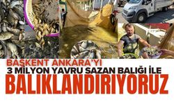 Başkent Ankara’yı 3 Milyon Yavru Sazan Balığı İle Balıklandırıyoruz