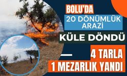 Bolu’da 20 dönümlük arazi küle döndü: 4 tarla, 1 mezarlık yandı