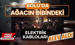 Bolu'da ağacın dibindeki elektrik kabloları alev aldı